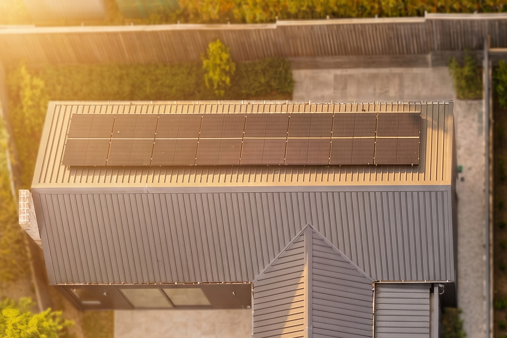 Aerial view of corrugated metal roof with clerestory windows, surrounded by established trees in dappled afternoon light.