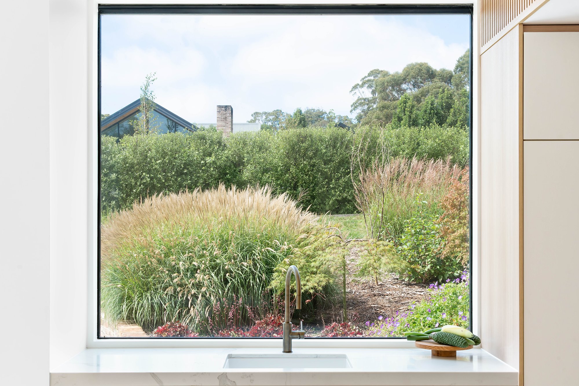 Large window frames ornamental grasses and native plantings in a considered Southern Highlands garden.