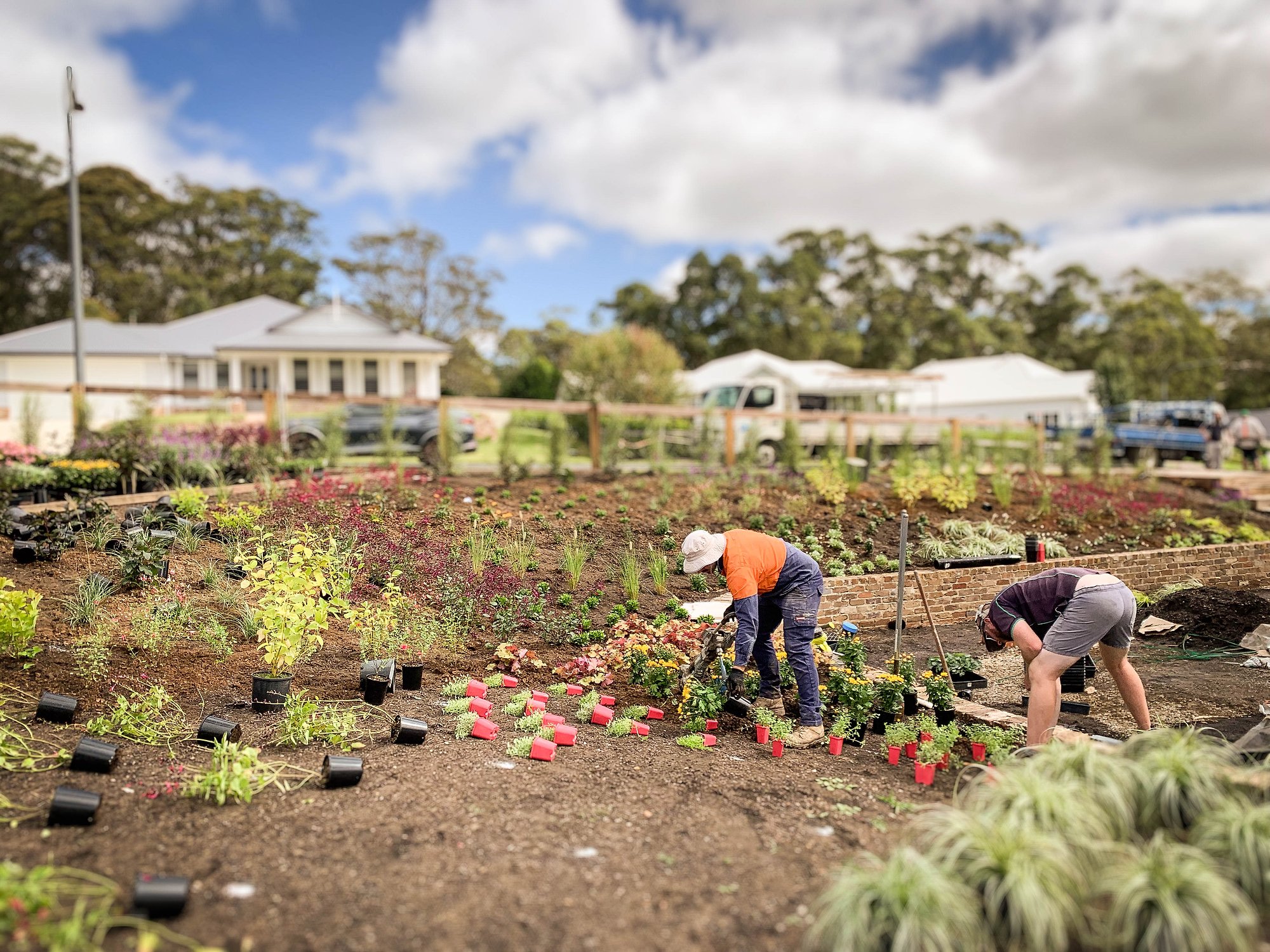 Two figures tend vegetable beds in a community garden with established gum trees and rural buildings beyond.